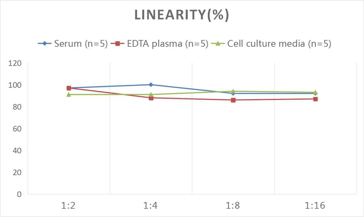 Human Reg1A ELISA Kit (Colorimetric)
