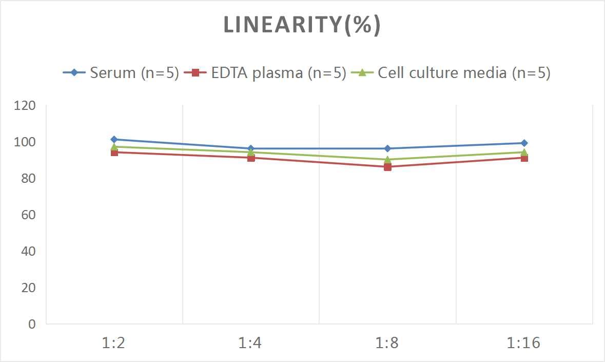 Human GIP ELISA Kit (Colorimetric)