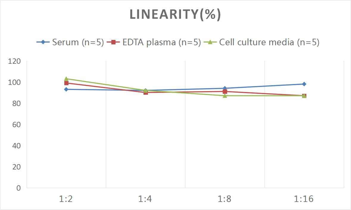 Mouse GIP ELISA Kit (Colorimetric)
