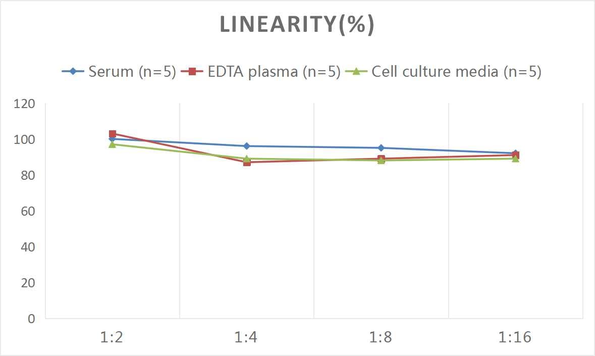 Rat GIP ELISA Kit (Colorimetric)