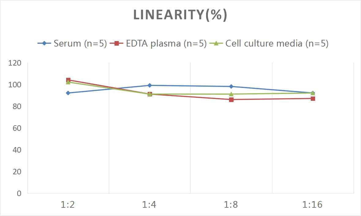 Rat Glut2 ELISA Kit (Colorimetric)