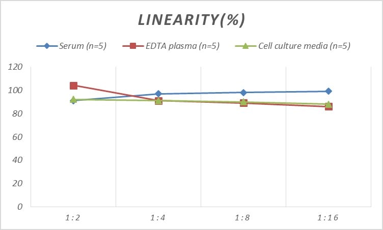 Rat GMF-beta ELISA Kit (Colorimetric)