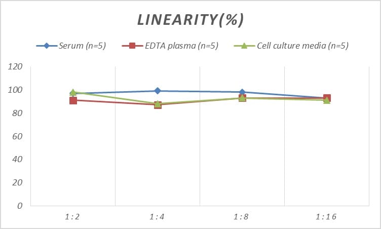 Rat beta-Galactosidase-1/GLB1 ELISA Kit (Colorimetric)