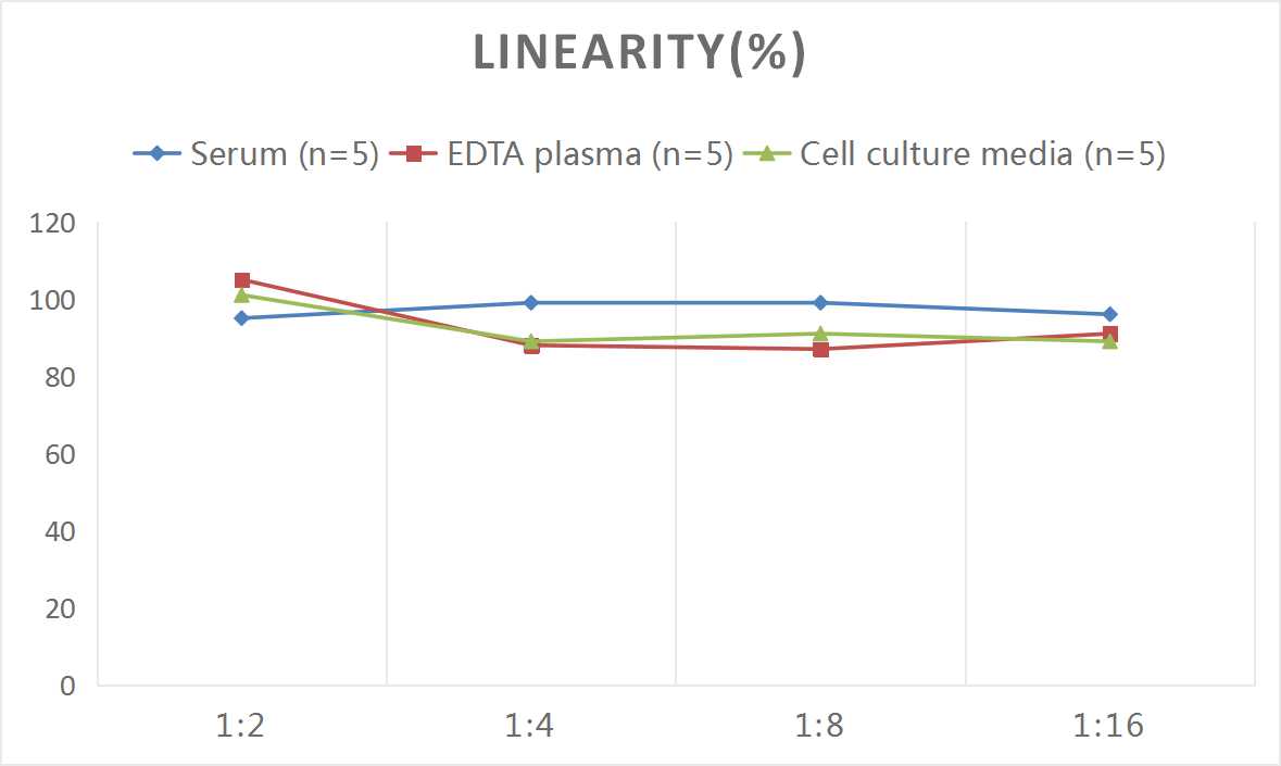 Human Glypican 4 ELISA Kit (Colorimetric)