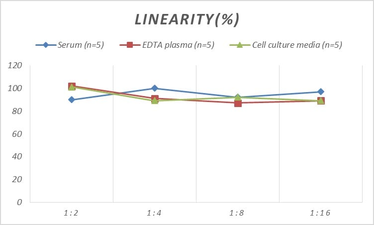 Human UCP3 ELISA Kit (Colorimetric)