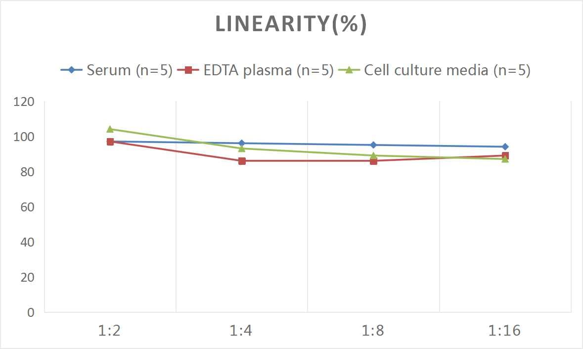 Human VDR/NR1I1/Vitamin D Receptor ELISA Kit (Colorimetric)