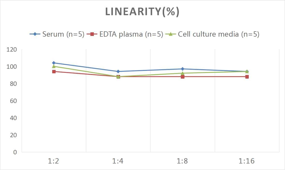 Monkey Coagulation Factor XI ELISA Kit (Colorimetric)
