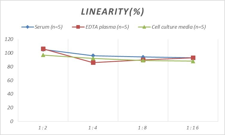Mouse Desmin ELISA Kit (Colorimetric)