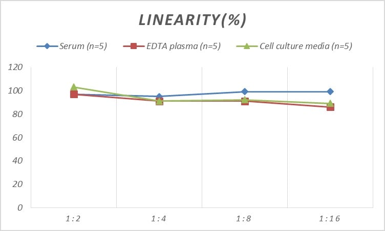 Mouse Uromodulin ELISA Kit (Colorimetric)