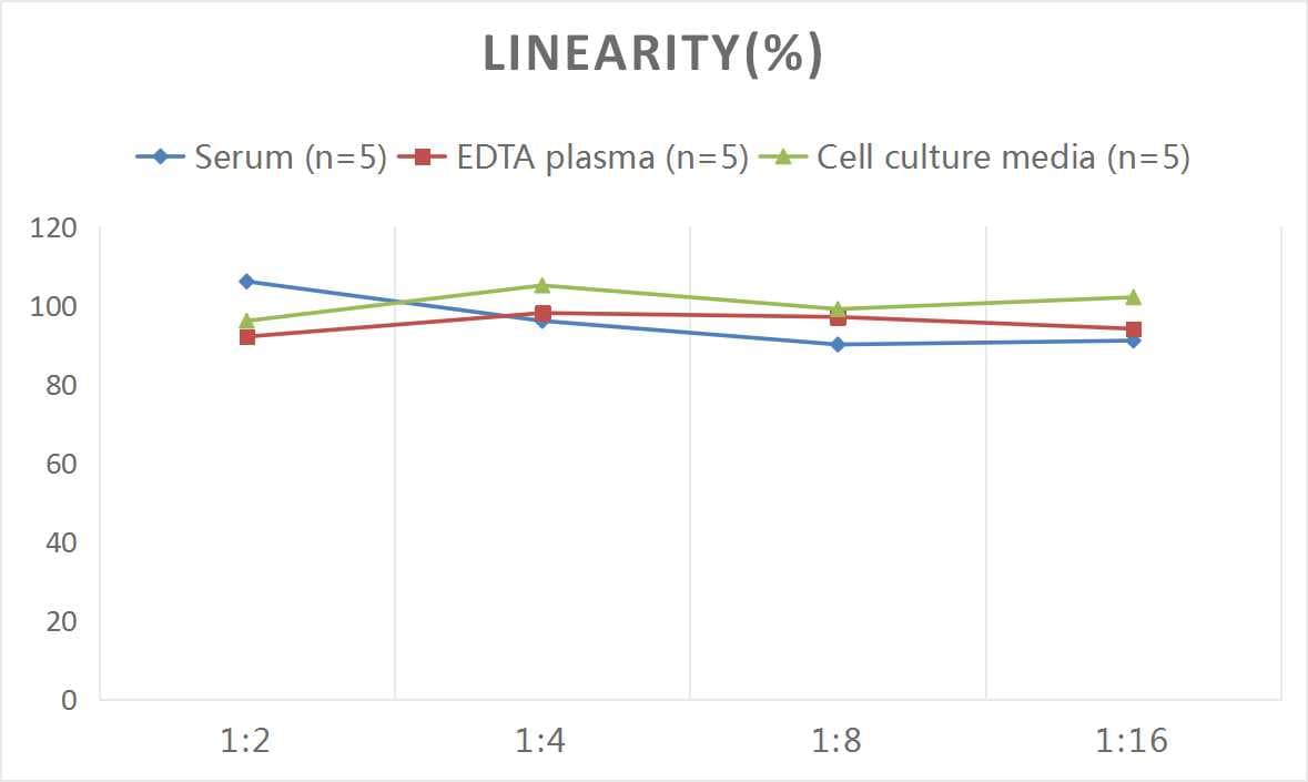 Mouse VIP ELISA Kit (Colorimetric)