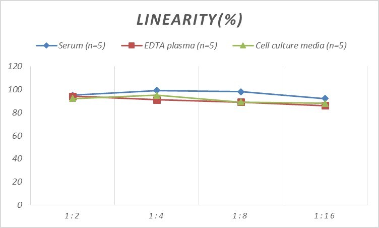 Rat Nogo ELISA Kit (Colorimetric)