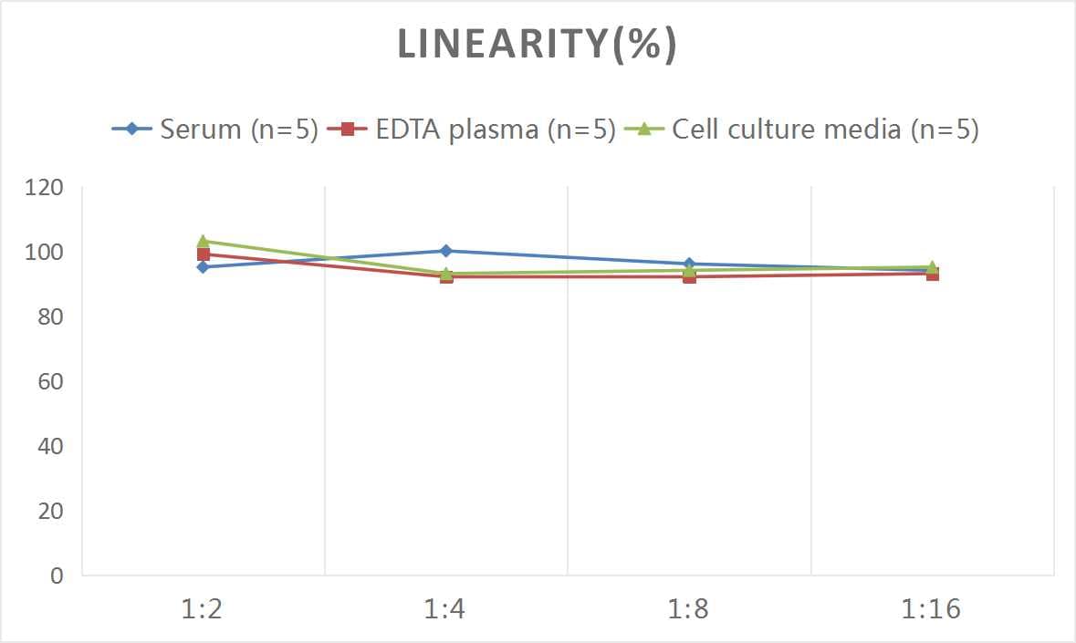 Rat Acetylcholinesterase/ACHE ELISA Kit (Colorimetric)