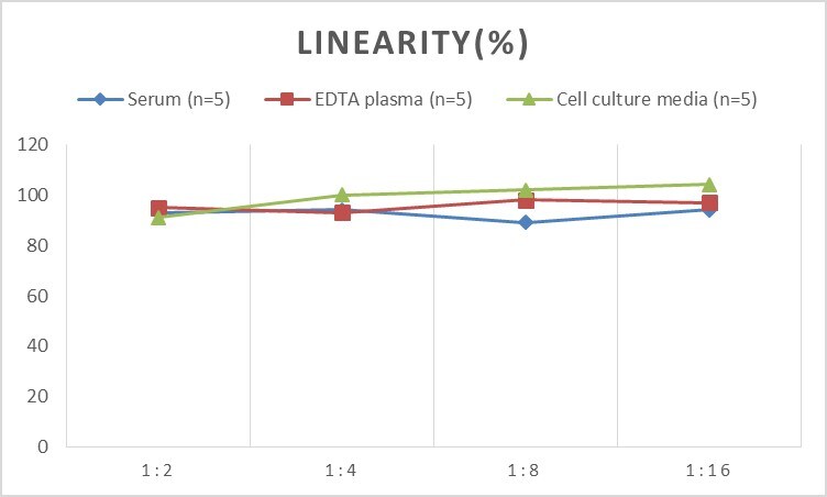 Rat alpha CTX ELISA Kit (Colorimetric)
