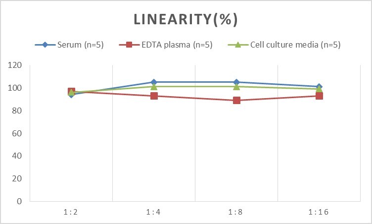 Rat CXCL16 ELISA Kit (Colorimetric)
