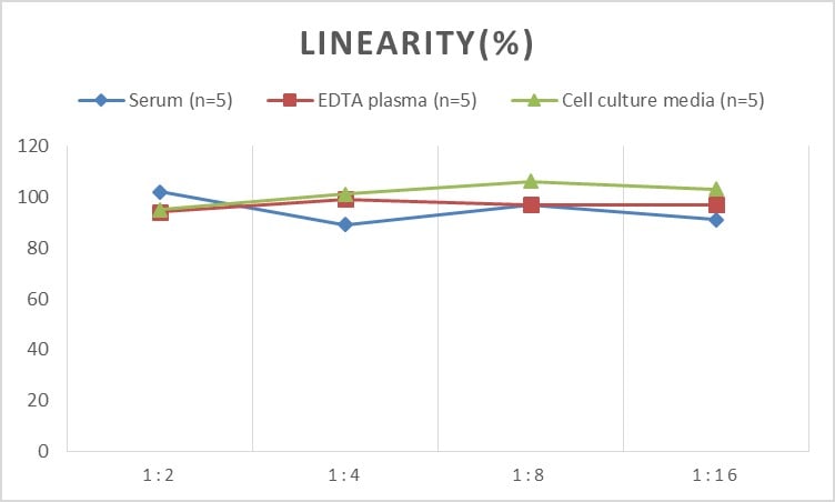 Rat DSIP ELISA Kit (Colorimetric)