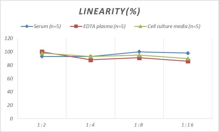 Human Doublecortin ELISA Kit (Colorimetric)