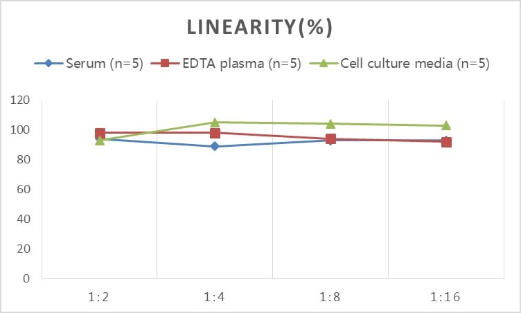 Rat DHEA-Sulfate ELISA Kit (Colorimetric)