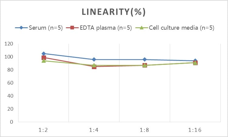 Rat Dkk-1 ELISA Kit (Colorimetric)