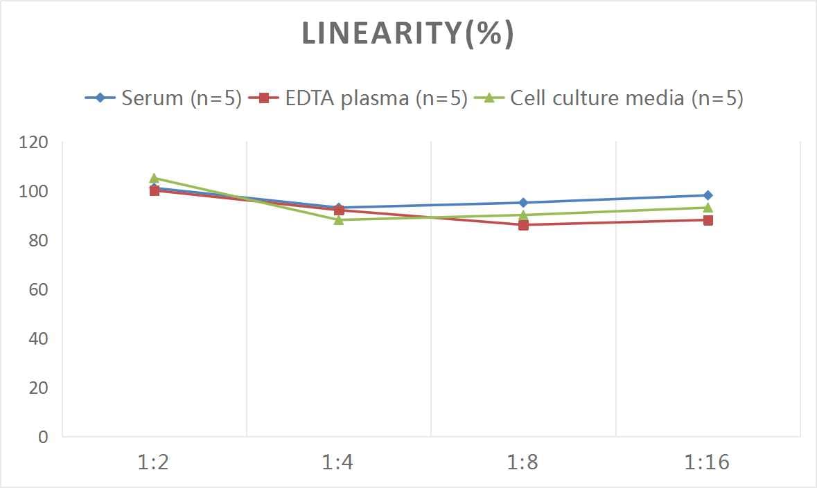 Rat DPPIV/CD26 ELISA Kit (Colorimetric)