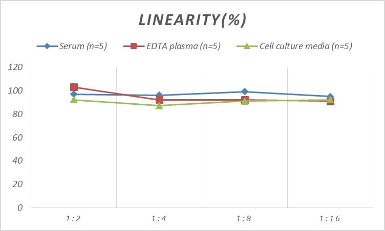 Rat Coagulation Factor XI ELISA Kit (Colorimetric)