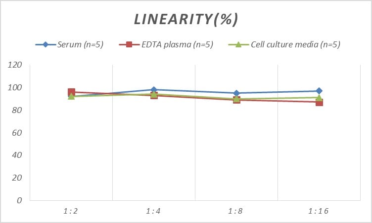 Rat Factor XIII ELISA Kit (Colorimetric)
