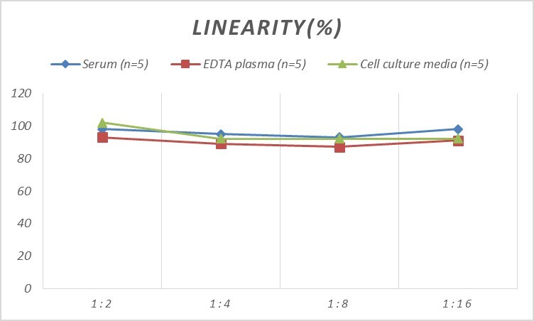 Human DPP6 ELISA Kit (Colorimetric)