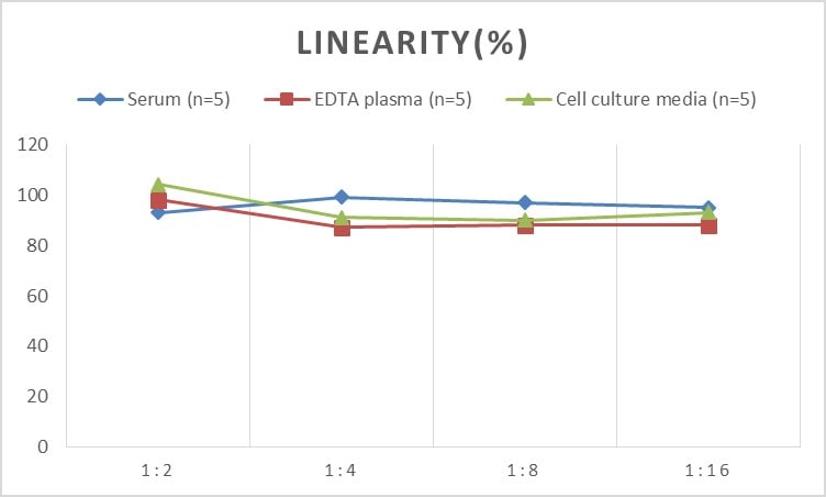 Human EAAT3 ELISA Kit (Colorimetric)