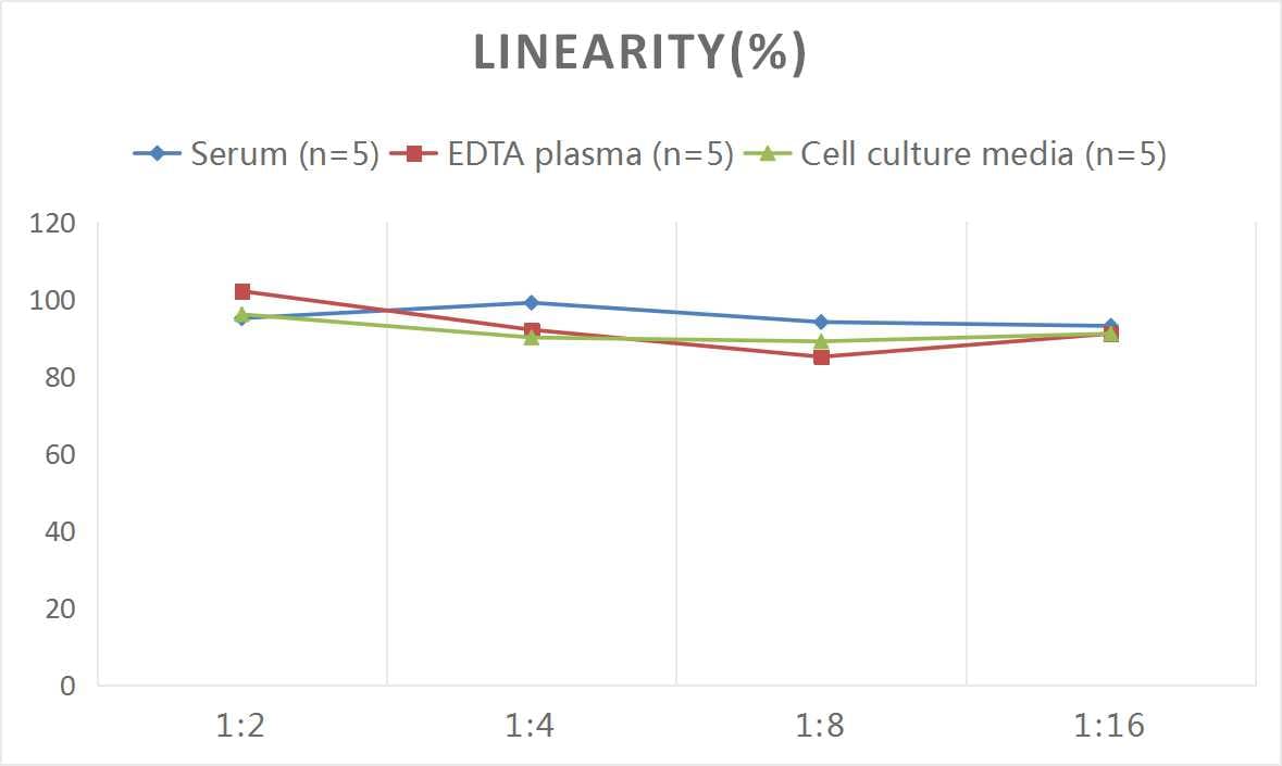 Rat Coagulation Factor II/Thrombin ELISA Kit (Colorimetric)