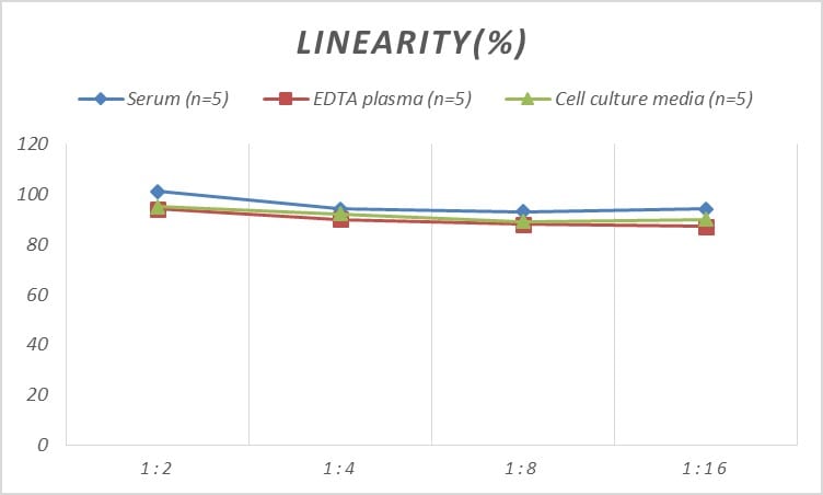 Rat Glycogen Phosphorylase BB/GPBB ELISA Kit (Colorimetric)