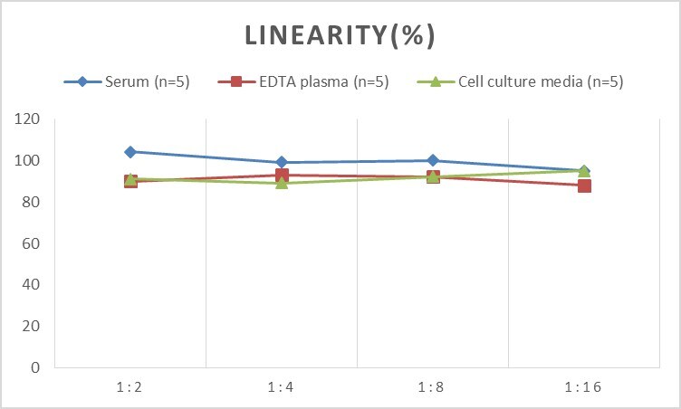 Rat Nectin-1/PVRL1 ELISA Kit (Colorimetric)