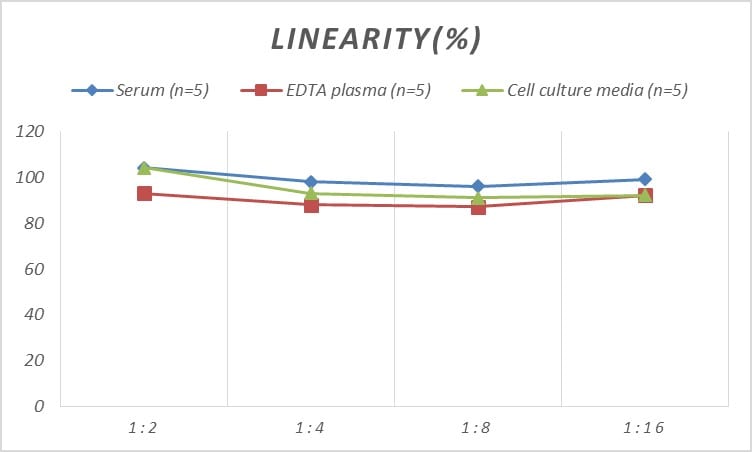 Rat Reelin ELISA Kit (Colorimetric)