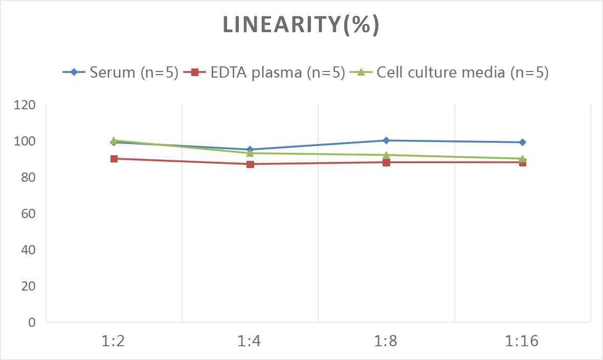 Human Pepsin ELISA Kit (Colorimetric)