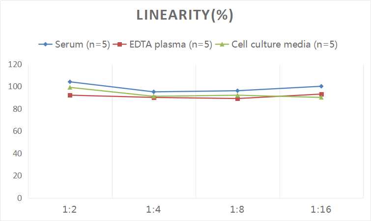 Human Rac1 ELISA Kit (Colorimetric)