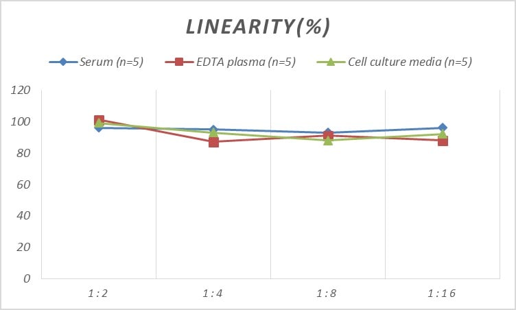 Human Retinol Binding Protein RBP ELISA Kit (Colorimetric)