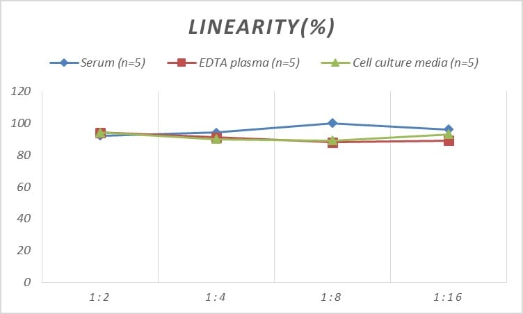 Human CoREST3/RCOR3 ELISA Kit (Colorimetric)