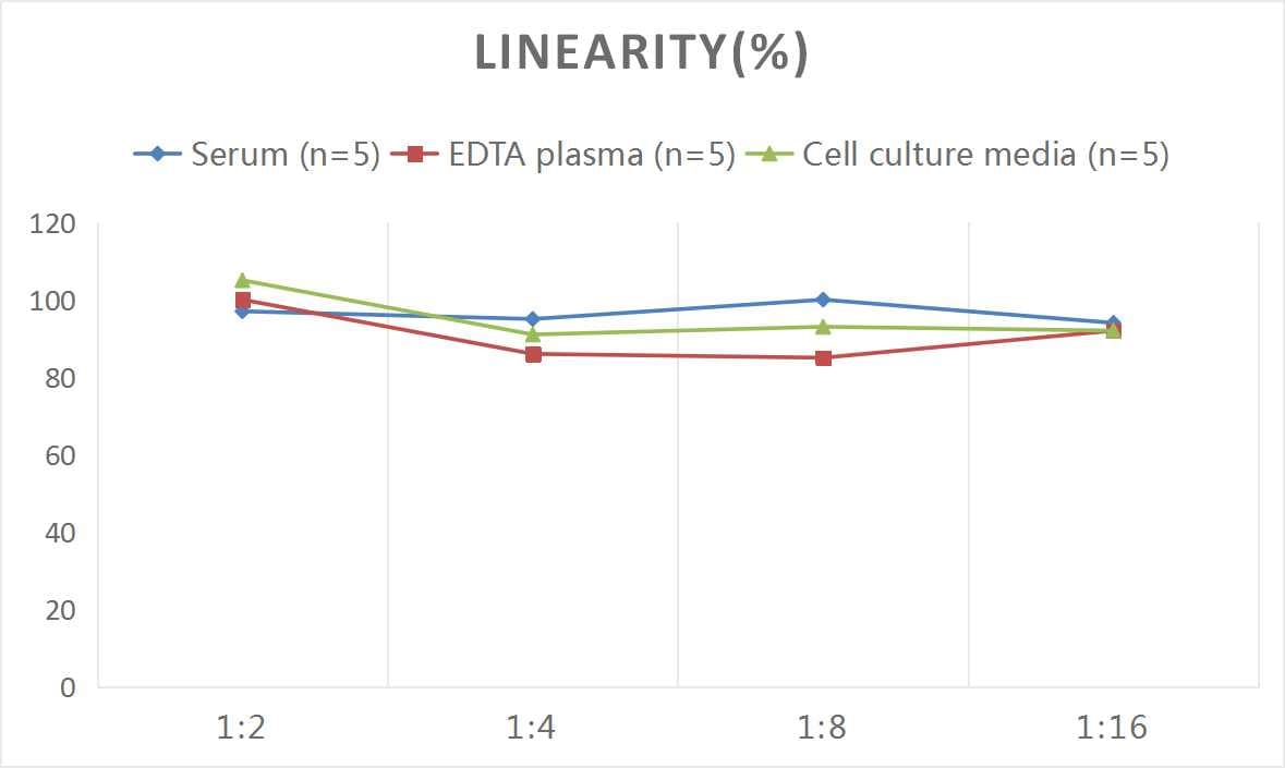 Human Small Dense LDL ELISA Kit (Colorimetric)