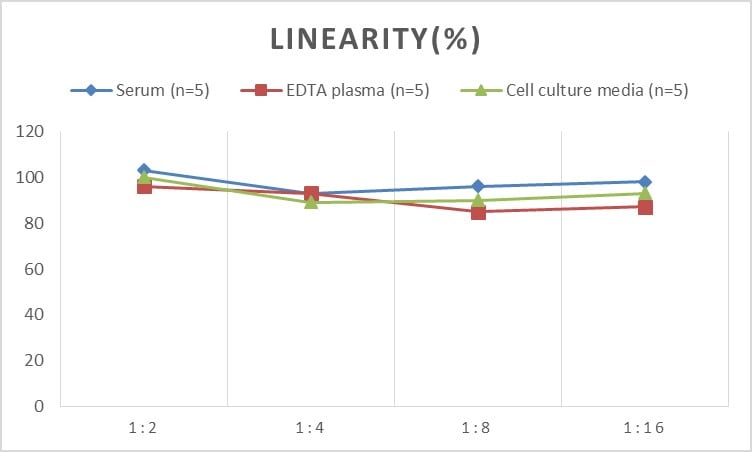 Human Cathepsin C/DPPI ELISA Kit (Colorimetric)