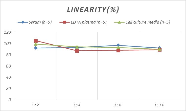 Human Cathepsin V ELISA Kit (Colorimetric)