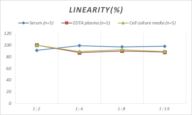 Human CYP7A1 ELISA Kit (Colorimetric)