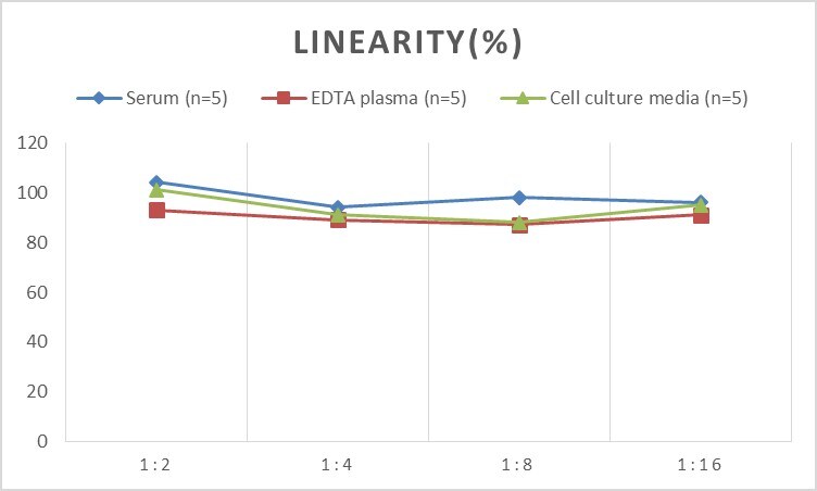 Human PTGER2 ELISA Kit (Colorimetric)