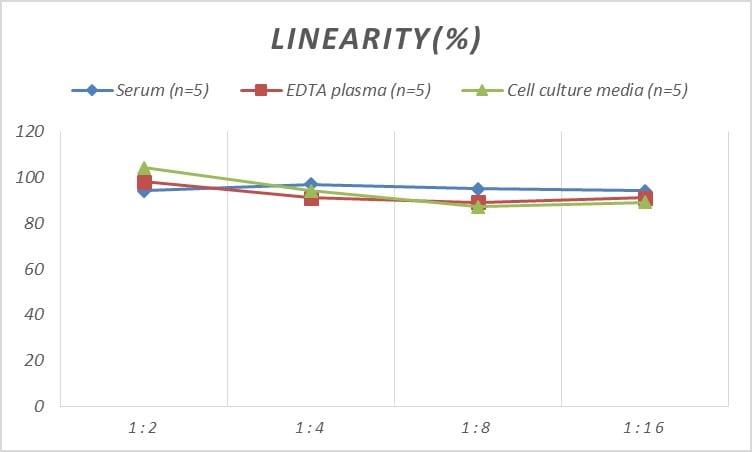 Human ERK3/MAPK6 ELISA Kit (Colorimetric)