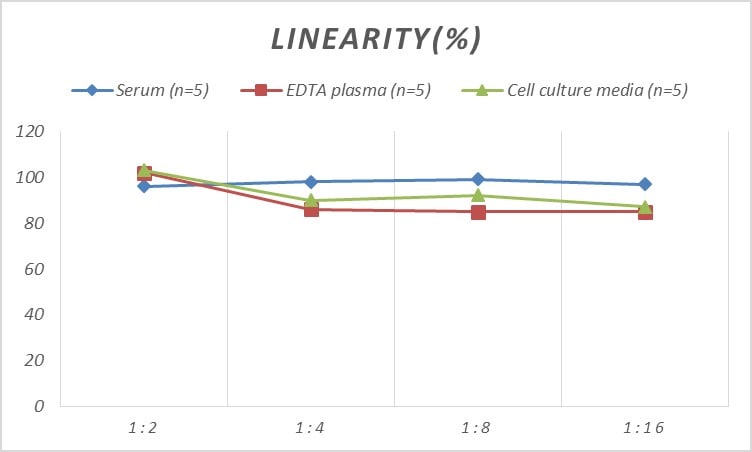 Human Fc gamma RII/CD32 ELISA Kit (Colorimetric)