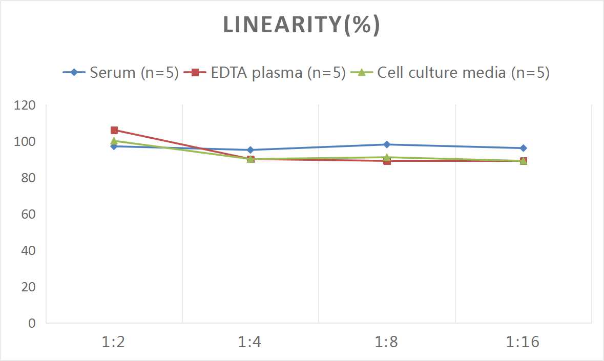 Human Serpin E2/PN1 ELISA Kit (Colorimetric)