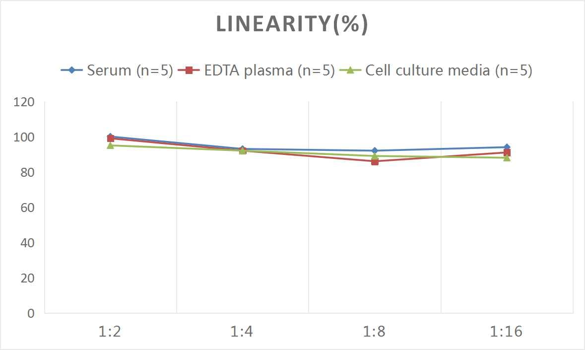 Human HLA A ELISA Kit (Colorimetric)