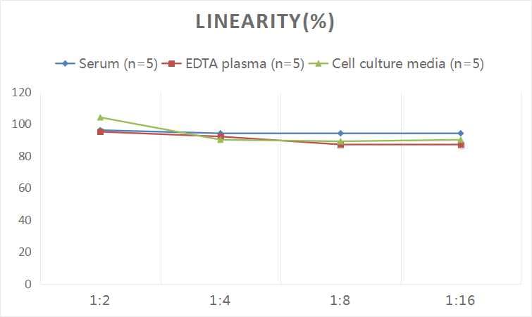 Human HLA B ELISA Kit (Colorimetric)