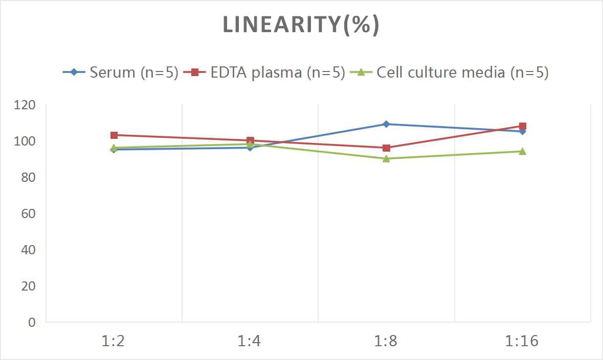 Human IgG ELISA Kit (Chemiluminescence)