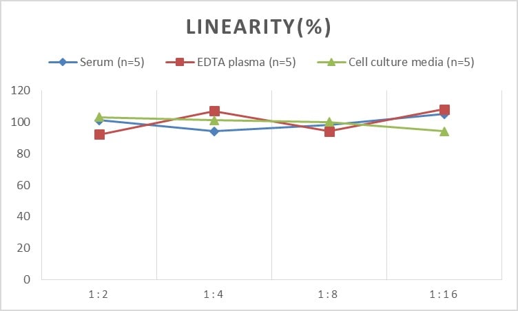 Human IgG2 ELISA Kit (Chemiluminescence)
