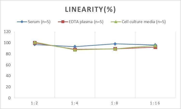 Human LRP-6 ELISA Kit (Colorimetric)