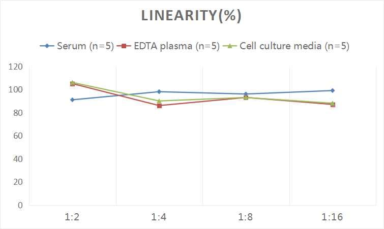 Human POMC ELISA Kit (Colorimetric)