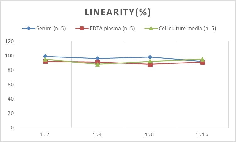 Human RAR alpha/NR1B1 ELISA Kit (Colorimetric)